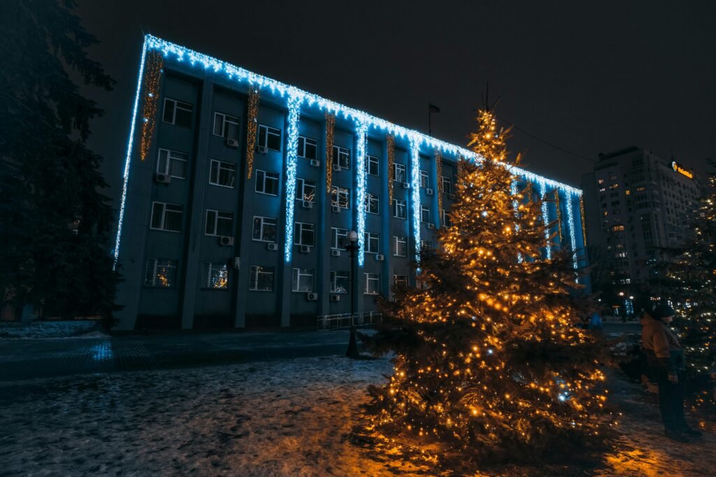 Alberi di Natale da Esterno