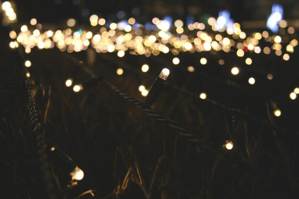 Luci Natalizie per Giardino