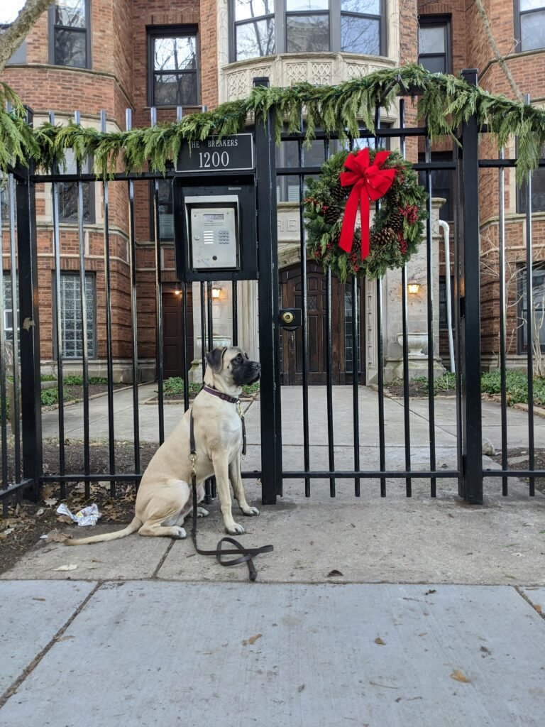 Decorazioni festive per ingresso con ghirlande e fiocchi rossi