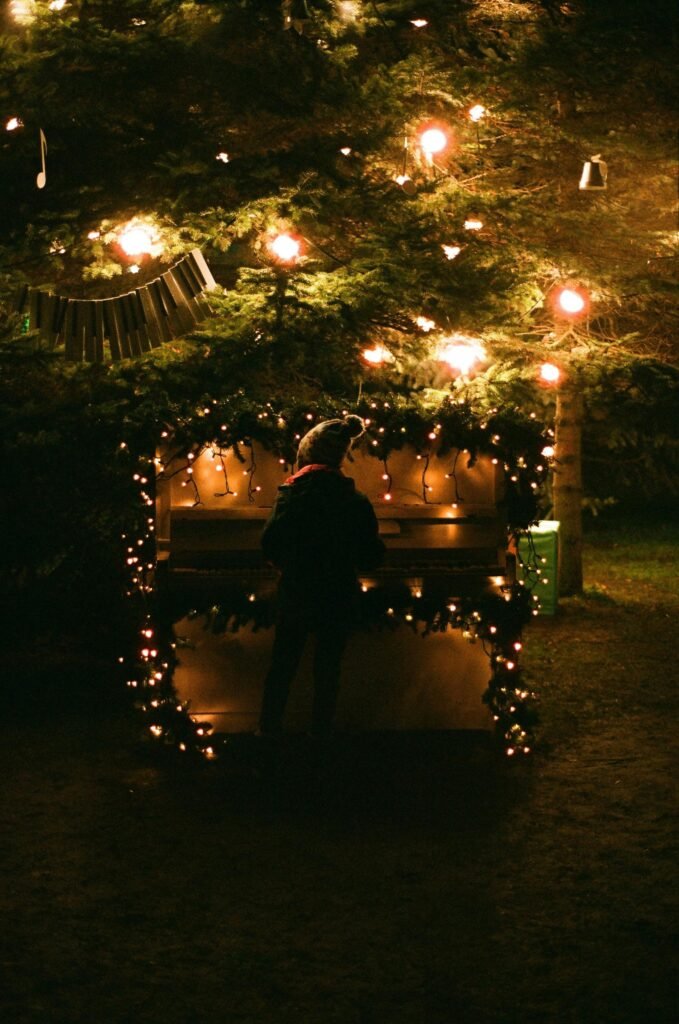 Albero di Natale LED posizionato al centro del giardino